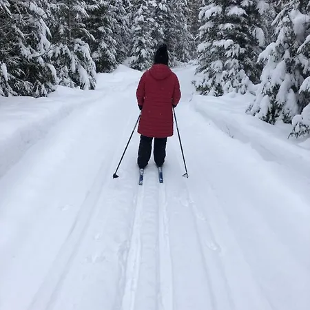 Beautiful Lakeside Vetojaervi * Pennala