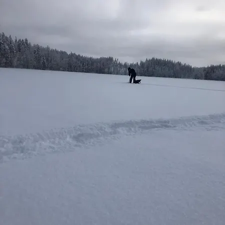 빌라 Beautiful Lakeside Vetojaervi