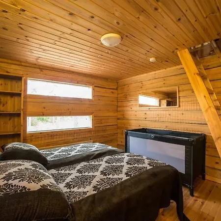 Beautiful Lakeside Vetojaervi Pennala