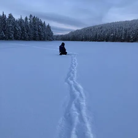 빌라 Beautiful Lakeside Vetojaervi Pennala