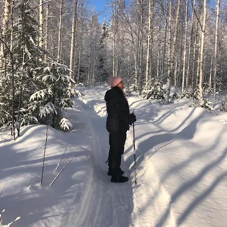 빌라 Beautiful Lakeside Vetojaervi *