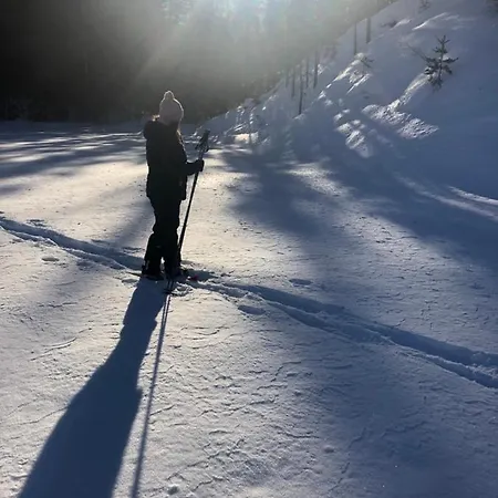 Beautiful Lakeside Vetojaervi Villa *