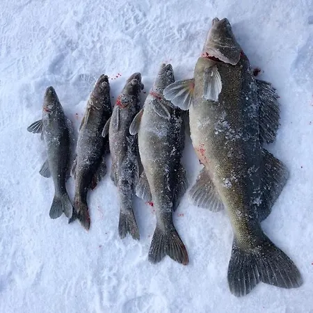 Beautiful Lakeside Vetojaervi Villa