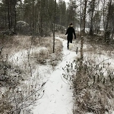 Beautiful Lakeside Vetojaervi Pennala