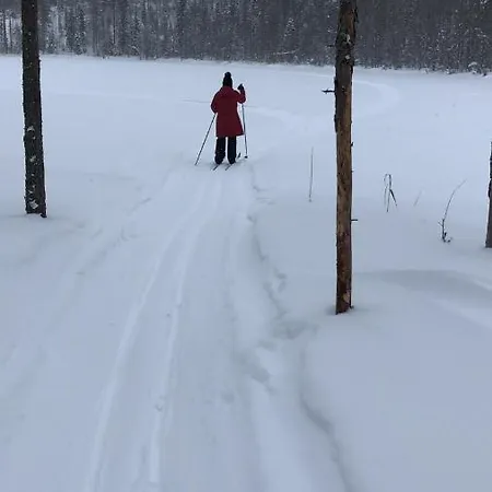Beautiful Lakeside Vetojaervi