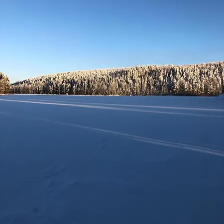 Beautiful Lakeside Vetojaervi * Pennala