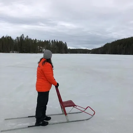 Beautiful Lakeside Vetojaervi Pennala