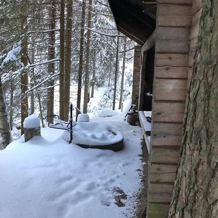 Beautiful Lakeside Vetojaervi *