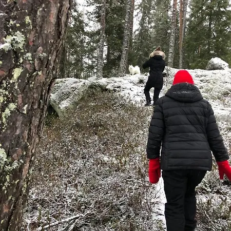 Beautiful Lakeside Vetojaervi Villa