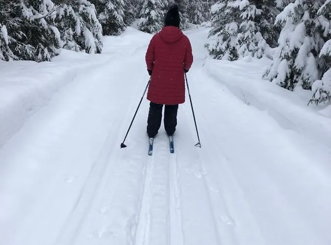 Beautiful Lakeside Vetojaervi * Pennala