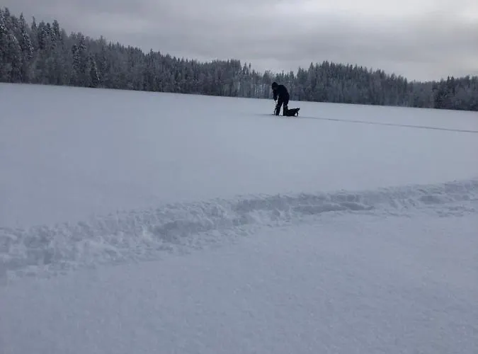 Villa Beautiful Lakeside Vetojaervi