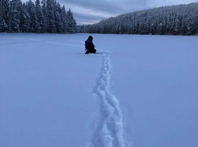 Villa Beautiful Lakeside Vetojaervi Pennala