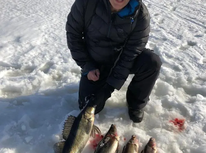 Villa Beautiful Lakeside Vetojaervi *