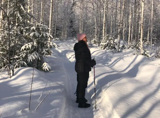 Villa Beautiful Lakeside Vetojaervi *