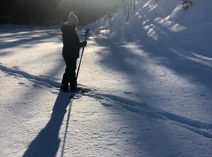 Beautiful Lakeside Vetojaervi Villa *