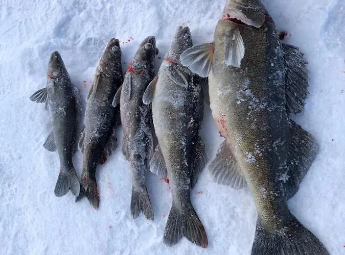 Beautiful Lakeside Vetojaervi Villa