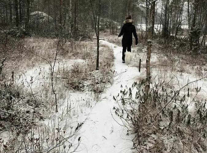 Beautiful Lakeside Vetojaervi Pennala