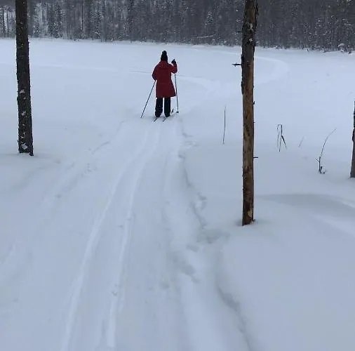 Beautiful Lakeside Vetojaervi