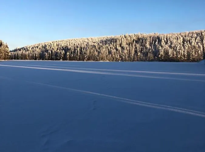 Beautiful Lakeside Vetojaervi * Pennala