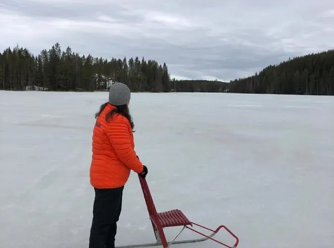 Beautiful Lakeside Vetojaervi Pennala