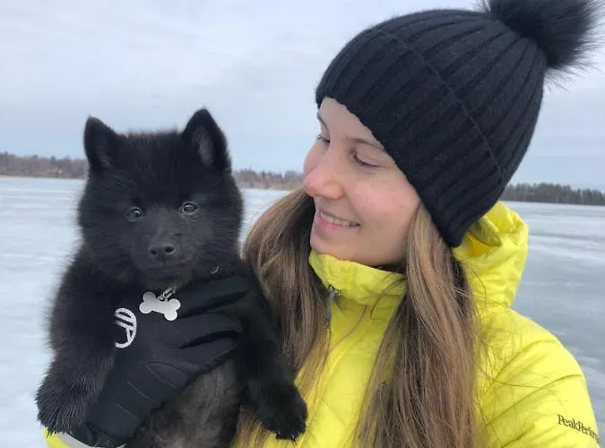 Beautiful Lakeside Vetojaervi