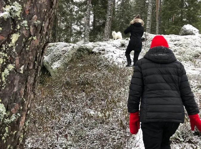 Beautiful Lakeside Vetojaervi Villa